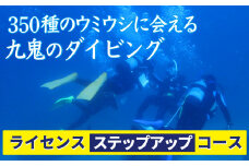 350種の美しい ウミウシ が魅力 【 ライセンス ステップアップコース】 ダイビング オールシーズン 海 ツアー マリンスポーツ 三重県 尾鷲市 九鬼 　DI-10