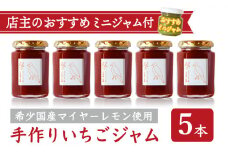 手作り いちごジャム 160g ５本 セット 希少 国産 マイヤーレモン お得 お試し ミニジャム付 保存料 着色料 不使用  ジャム フルーツ 果物 いちご 苺 果肉 パン 朝食 朝ご飯 贈り物 贈答 箱詰め プレゼント ギフト 手作り ハンドメイド  詰め合わせ スイーツ おやつ ケーキ パンケーキ 美味しい 三重県 尾鷲市 KA-39