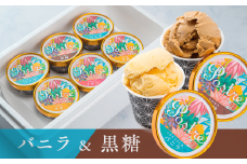 【バニラ＆黒糖】２種のアイスクリーム ６個セット｜すし処 一重 尾鷲 お取り寄せ デザート アイス クリーム 冷凍 ふるさと納税 IJ-43