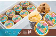 【バニラ＆黒糖】２種のアイスクリーム ８個セット｜すし処 一重 尾鷲 お取り寄せ デザート アイス クリーム 冷凍 ふるさと納税 IJ-48