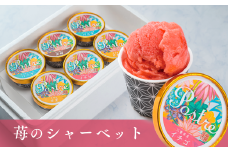 《数量限定》苺のシャーベット〈果汁分75％〉６個セット｜すし処 一重 尾鷲 お取り寄せ デザート アイス クリーム 冷凍 ふるさと納税 IJ-22