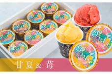 《数量限定》【甘夏＆苺】２種のフルーツシャーベット ８個セット｜すし処 一重 尾鷲 甘夏 苺 お取り寄せ デザート シャーベット アイス クリーム 冷凍 ふるさと納税 IJ-50