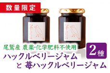 【 数量 限定 】 尾鷲産 農薬 化学肥料 不使用 ハックルベリー と 苺 ハックルベリー の ジャム ２本 の セット ギフト 贈り物 保存料 着色料 不使用 パン によく合う こだわり 日用品 KA-42