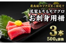 尾鷲もちもちキハダマグロ  お刺身用A柵　３本（500g前後）｜小分け 生食 刺身 お刺身 切り落 冷凍 天然 鮪 まぐろ マグロ 赤身 ねぎとろ たたき 海鮮 丼 魚介 魚 人気 大人気 定番 ご飯 オススメ 三重県 尾鷲市　CH-97