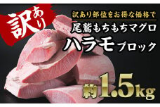 【訳あり】尾鷲もちもちキハダマグロ ハラモ詰め合わせ 大満足 1.5kg ブロック 冷凍 天然マグロ きはだまぐろ キハダマグロ 水揚げ まぐろ刺身 まぐろ丼 漬けマグロ 天然 人気 おすすめ ハマモ 尾鷲もちもちキハダマグロ 超低温冷凍技術 アルコールスラリー製法 大容量 三重県 尾鷲市 CH-96