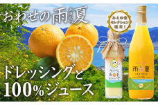 【 限定 100セット 】おわせ の 雨夏 (あまなつ) ドレッシング と100%  ジュース の セット　無農薬 ワックス・防腐剤不使用 木成り 完熟 甘夏 使用 ギフト 贈答 日用 でも使える 三重 尾鷲 の 柑橘 特産品　TK-19