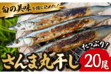 旬 の 美味しさ を閉じ込めた さんま 丸干し  ４匹入り×５袋セット 脂 ののった 旬の 秋刀魚 丸ごと 一夜干し 旬の 旨み 脂 を閉じ込めました サンマ 丸干し 海鮮 魚介 三重県 尾鷲  IW-8