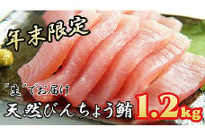 【年末発送限定！ 〈生でお届け〉国産天然マグロ】 産地直送  天然ビンチョウマグロ短冊 1,2kg 天然 国産 鮪 まぐろ マグロ ユッケ 海鮮 刺し身 ネギトロ 短冊 冊 問屋 直送 期間限定 自社加工 小分け人気 おすすめ 新鮮 品質 厳選 美味しい とろける こだわり 丁寧 お正月 正月 三重県 尾鷲市　KI-52