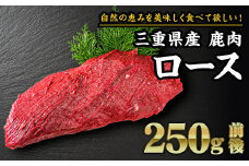 【 ジビエ 】鹿肉 ロース 250g｜サステナブル SDGs 新鮮 低カロリー ヘルシー 熟成 ステーキ 焼肉 シカ 小分け ジビエ食材 YZ-4