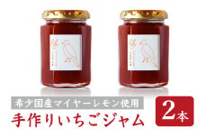 手作り いちごジャム 160g ２本 セット 希少 国産 マイヤーレモン 使用 保存料 着色料 不使用  ジャム フルーツ 果物 いちご 苺 果肉 パン 朝食 朝ご飯 贈り物 贈答 箱詰め プレゼント ギフト 手作り ハンドメイド  詰め合わせ スイーツ おやつ ケーキ パンケーキ 美味しい 三重県 尾鷲市 KA-46