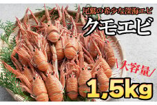クモエビ（オオコシオリエビ） １，５㎏ 大容量 深海エビ 鮮度抜群 漁船直送 濃厚なミソ 上品な甘さ 海老 えび エビ 殻付き 有頭 冷蔵便 魚介類 魚貝類 海産物 おかず 酒の肴 三重県産 尾鷲市 HA-70