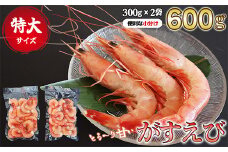 特大ガスエビ（ヒゲナガエビ） ６００gセット 特大サイズ 小分け 天然 鮮度抜群 漁船直送 海老 えび エビ 殻付き 簡単 調理 魚介類 魚貝類 海産物 おかず 産地直送 三重県産 尾鷲市 国産 人気 HA-73