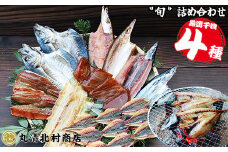 季節の干物 厳選４種｜北村商店 店主が選ぶ 旬の魚 尾鷲 熊野灘 鮮魚 あじ かます うるめいわし 太刀魚 さんま つなぎ鯵みりん まぐろ 冷凍 ふるさと納税 SE-18