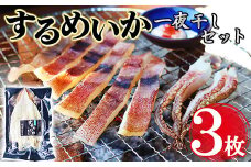 するめいか 一夜干し ３枚｜ 肉厚  天日干し 干物 国産 するめ スルメ スルメイカ 北村商店  尾鷲 熊野灘  冷凍 ふるさと納税 SE-20