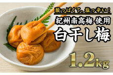【紀州南高梅】白干し梅 秀品 1.2㎏（塩分20％）｜梅干 うめぼし 大粒 小分け 天日 塩分 大容量 肉厚 熱中症 プレゼント ギフト II-77