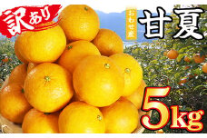 おわせの甘夏 【訳あり】 5kg 木成り完熟甘夏 甘夏 蜜柑 果物 みかん 雨の恵み 国産 三重 尾鷲  柑橘 特産品  AI-3