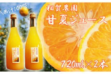 果汁100％ 甘夏ジュース720ml×2本セット 甘夏 蜜柑 果物 柑橘 フルーツ シュース 国産 三重県 尾鷲市　AI-4