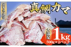 真鯛カマ 切り落とし 大満足 1kg 500g×2 パック 小分け 国産 希少部位 真鯛 マダイ 鯛 タイ たい ソテー 塩焼き  煮付け 鯛めし 人気 大満足 美味しい 魚介類 海鮮 バーベキュー BBQ  冷凍 肉厚 ふるさと納税 ふるさとチョイス 三重県 尾鷲市 OB-35