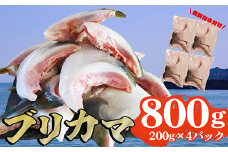 ブリカマ 切り落とし 800g 大容量 小分け 200×4 パック 国産 希少部位 ブリ ぶり 鰤 頭肉 塩焼き  煮付け 照り焼き ブリ大根 アクアパッツァ 人気 大満足 美味しい 魚介類 海鮮 バーベキュー BBQ  冷凍 肉厚 ふるさと納税 ふるさとチョイス 三重県 尾鷲市 OB-37