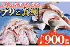 人気のカマ 食べ比べセット ブリカマ 真鯛カマ 切り落とし 合計900g 大容量 小分け パック 国産 希少部位 ブリ ぶり 鰤 頭肉 塩焼き  煮付け 照り焼き ブリ大根 アクアパッツァ 真鯛 マダイ 鯛 タイ たい ソテー 塩焼き 煮付け 鯛めし 人気 大満足 美味しい 魚介類 海鮮 バーベキュー BBQ  冷凍 肉厚 ふるさと納税 三重県 尾鷲市 OB-36