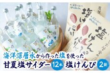 海洋深層水 の 甘夏 塩 サイダー ［香料・酸味料・保存料不使用］ と 塩けんぴ ２袋  12本  炭酸  ジュ ース 飲料  菓子 つまみ  ギフト  贈り物  詰め合わせ 三重県 尾鷲 しお学舎  MO-22