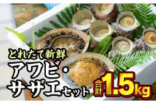 活アワビ・活サザエセット 1.5kg あわび 鮑 アワビ さざえ 栄螺 サザエ 活 海鮮 生 刺身 お刺身 あわびのバター焼き 貝 海鮮 BBQ さざえご飯 壺焼き 冷蔵 冷蔵便 直送 冷蔵配送 三重県 尾鷲市 HA-76