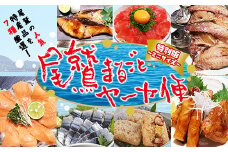 「オール尾鷲」の大人気まちおこし通販便　尾鷲まるごとヤーヤ便 特別版 お試しセット　 YA-10