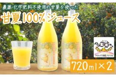 【数量限定】宇宙が喜ぶ甘夏100%ジュース 720ml×2本 　農薬 , 除草剤 , 化学肥料 不使用 , 愛情たっぷりで育てた甘夏のおいしさをぎゅっと搾りました！  果物 ギフト 贈り物 三重県 尾鷲市 MA-8
