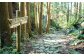 世界遺産　熊野古道
