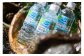 急峻な山々と、豊かな木々
 「世界遺産」に磨かれた水