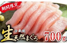 期間限定！〈生でお届け〉国産天然マグロ短冊 ７００ｇ 【10月15日までの受付】 産地直送  天然ビンチョウマグロ短冊 
 天然  国産 鮪 まぐろ マグロ ユッケ 海鮮 刺し身 ネギトロ 短冊 冊 問屋 直送 期間限定 自社加工 小分け 切るだけ 簡単調理 人気 おすすめ 新鮮 品質 厳選 美味しい とろける トロ ビンチョウ ビンナガ こだわり 丁寧 三重県 尾鷲市　KI-68