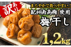 期間限定９月末まで受け付け【規格外】キズ・やぶれ有り！紀州南高梅 まろやか梅干し 大容量1.2kg（600g×２パック）訳あり ご家庭用 完熟 大粒 小粒 小分け II-80