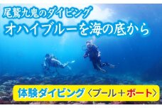 オハイブルー、350種の美しい ウミウシ が魅力【 体験ダイビング プール ＋ ボート】ワイド や ソフトコーラル も 人気 三重県 尾鷲市 九鬼 の ダイビング 通年 オールシーズン　DI-11