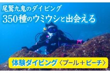 350種の美しい ウミウシ 、多様な生態系が魅力  【 体験ダイビング プール ＋ ビーチ】 ワイド やソフトコーラル も 人気 三重県 尾鷲市 九鬼 の ダイビング 通年 オールシーズン  DI-12