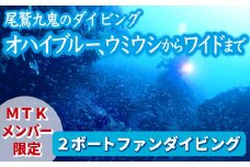 オハイブルー、350種の美しい ウミウシ 多様な生態系が魅力 【MTKメンバー限定 ２ボートファンダイビング】  ワイド やソフトコーラル も 人気 三重県尾鷲市 九鬼 の ダイビング 通年 オールシーズン  DI-14