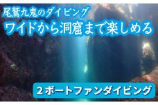 ワイドから 美しい 洞窟 まで楽しめる！【 ２ボートファンダイビング】ワイド や ソフトコーラル も 人気 三重県 尾鷲市 九鬼 の ダイビング 通年 オールシーズン 　DI-13