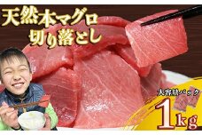 天然本マグロ 切り落とし 大容量パック １ｋｇ ( ５００ｇ×２袋 ) 天然まぐろ 本マグロ 刺身 中トロ 赤身 まぐろ丼 家族みんなで 手巻き寿司 寿司 天然 まぐろ マグロ 簡単 時短 冷凍 魚介 海鮮 トロ 鮪 人気 返礼品 三重県 尾鷲市 CH-107