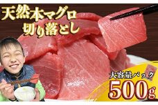 天然本マグロ 切り落とし 大容量パック ５００ｇ 天然まぐろ 本マグロ 刺身 中トロ 赤身 まぐろ丼 家族みんなで 手巻き寿司 寿司 天然 まぐろ マグロ 簡単 時短 冷凍 魚介 海鮮 トロ 鮪 人気 返礼品 三重県 尾鷲市 CH-106