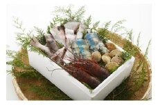  漁師鍋水炊きセット 鍋セット 高級魚 新鮮 人気 ランキング おすすめ ギフト プレゼント 天然 真鯛 鯛 たい 伊勢えび イセエビ 海老 エビ えび 蛤 はまぐり ハマグリ 海鮮 魚介 鍋 三重県 尾鷲市 HA-67
