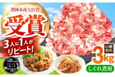 小間切れ 豚 3kg / 三元豚 小間切れ 国産豚肉 ぶた肉 3kg 豚こま 小間切れ こま切れ スライス しぐれ煮 大容量 冷蔵 [AMAB014]