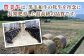 【豊美牛】切り落とし400g 三重県亀山産 黒毛和牛 / きりおとし 切り落とし肉 国産牛 ブランド牛 牛肉 お肉