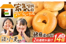 【2回お届け定期便】三重県産小麦と自家製・天然酵母のこだわりプレーンベーグルセット / ベーグル べーぐる 朝食 おやつ 国産小麦 天然酵母 定期 定期便 / 亀山市 / くるくる・ベーグル [AMAT002]