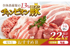 【切り方「おすすめB」】【4回定期便】愛情こめて育てた三元豚 半頭買い（22kg） 亀山市/小林ファーム 豚肉 冷蔵 大容量 送料無料 [AMAB001-2]