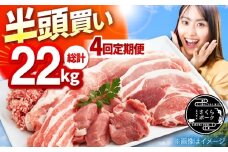【切り方「おすすめB」】【4回定期便】ええやんさくらポーク 小林ファーム 豚肉 半頭買い（22kg） 亀山市/小林ファーム 豚肉 冷蔵 大容量 送料無料 [AMAB001-2]
