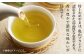 茶 ちゃ お茶 おちゃ 緑茶 りょくちゃ 日本茶 亀山茶 ペットボトル 500 ボトル ドリンク 飲料