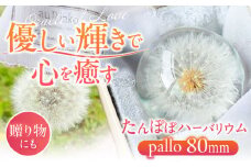 【pallo 80mm】たんぽぽハーバリウム / インテリア 雑貨 フラワー ナチュラル / 亀山市 / auRinko [AMBL002]
