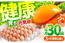 【3ヶ月定期便】お茶と海藻で健康育ち 元気卵 合計90個（30個×3回）常温発送 / 卵 たまご タマゴ 玉子 鶏卵 定期便 朝食 国産 卵 人気 オムレツ 卵焼き 卵かけご飯 / 亀山市 / 藪本養鶏園 [AMBH002]