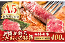 最高級A5等級 三重県産 黒毛和牛 柿安牛 サーロインステーキ 400g / 国産牛 ブランド牛 牛肉 冷蔵 / 亀山市 / 柿安本店 [AMBW018]