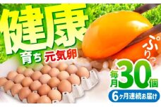 【6ヶ月定期便】元気卵 180個（30個×6回） / 卵 健康 国産 定期便 たまご 新鮮卵 たまごセット 卵定期便 たまご定期便 たまご タマゴ 玉子 鶏卵 朝食 オムレツ 卵かけご飯 卵焼き 6カ月 6ヵ月 6ケ月 6か月/ 亀山市 / 藪本養鶏園 [AMBH003]