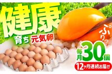 【12か月定期便】元気卵 360個（30個×12回）/ 12ヵ月 12カ月 12ケ月 卵 国産 たまご タマゴ 玉子 鶏卵 定期便 玉子焼き 卵焼き 新鮮 卵かけご飯 オムレツ プリン 卵 家庭用 卵黄 生卵 三重県 ふるさと納税 朝食 / 亀山市 / 藪本養鶏園 [AMBH004]